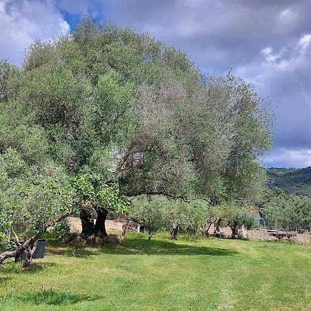 Вилла Olbia Grazioso Bilo In Periferia Sole Ruiu Экстерьер фото